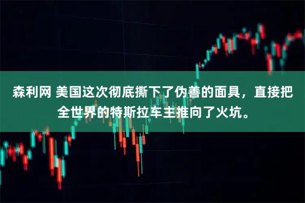 森利网 美国这次彻底撕下了伪善的面具，直接把全世界的特斯拉车主推向了火坑。